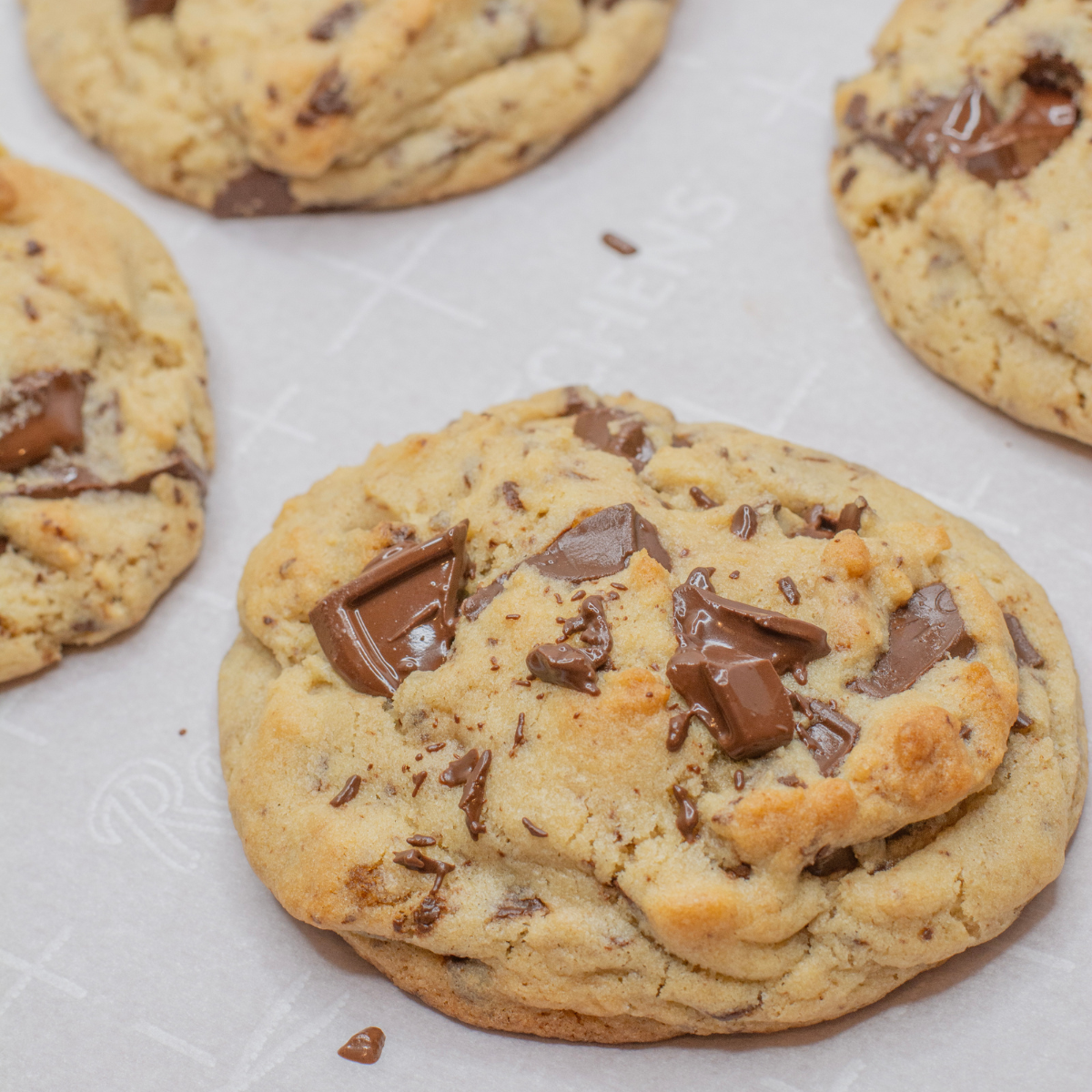 Large chocolate chip cookie photo