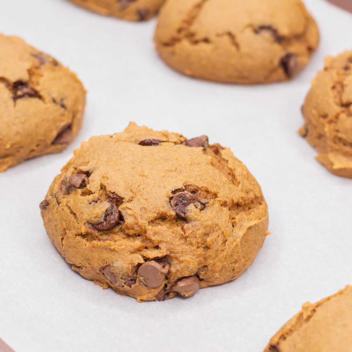 pumpkin chocolate chip cookies made with three ingredients.