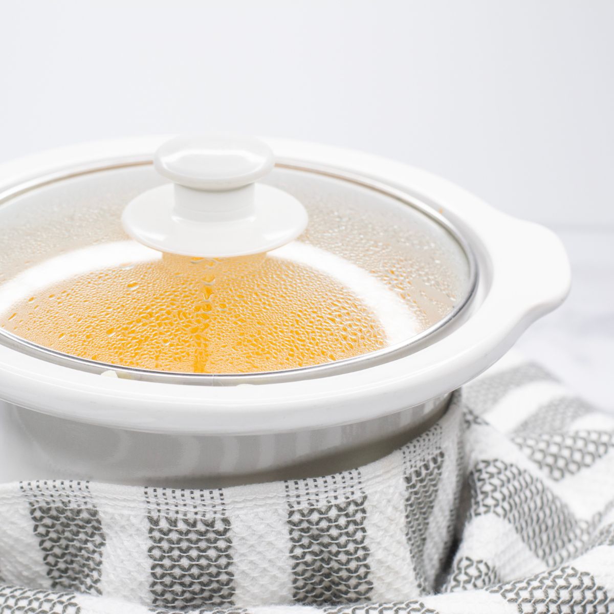 Buffalo Dip in a Crock Pot
