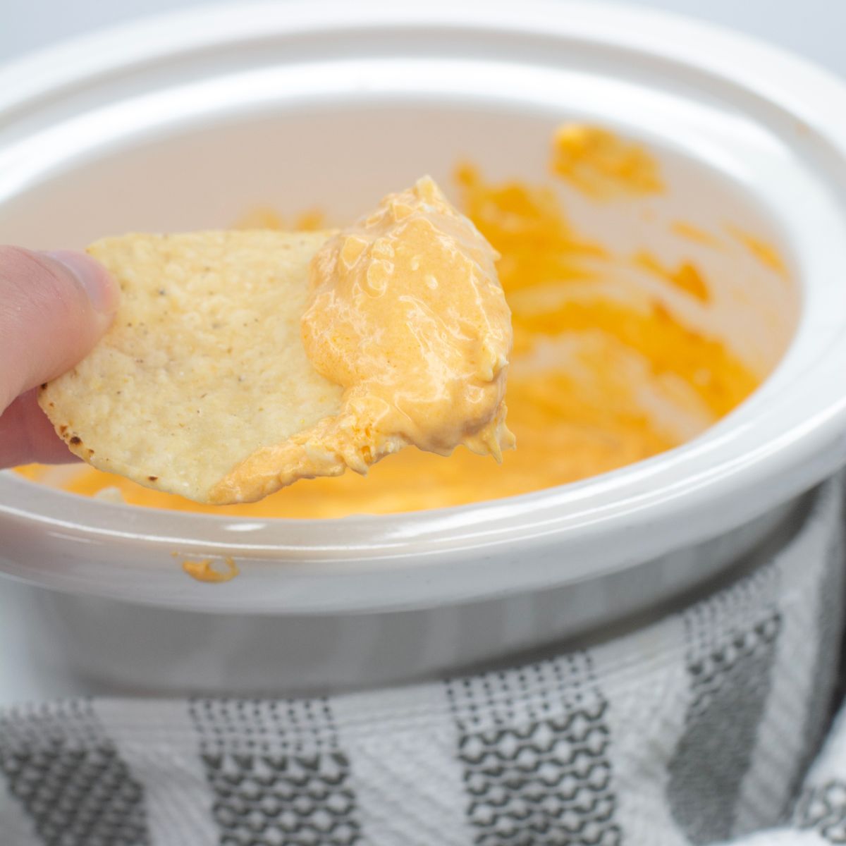 Buffalo dip on a tortilla chip.