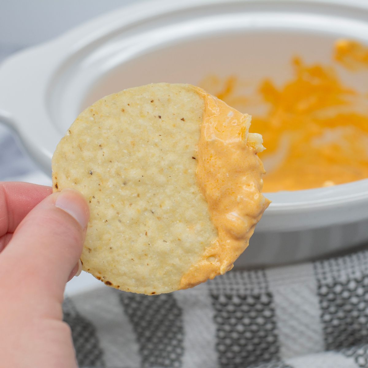 Chip dipped in buffalo dip.