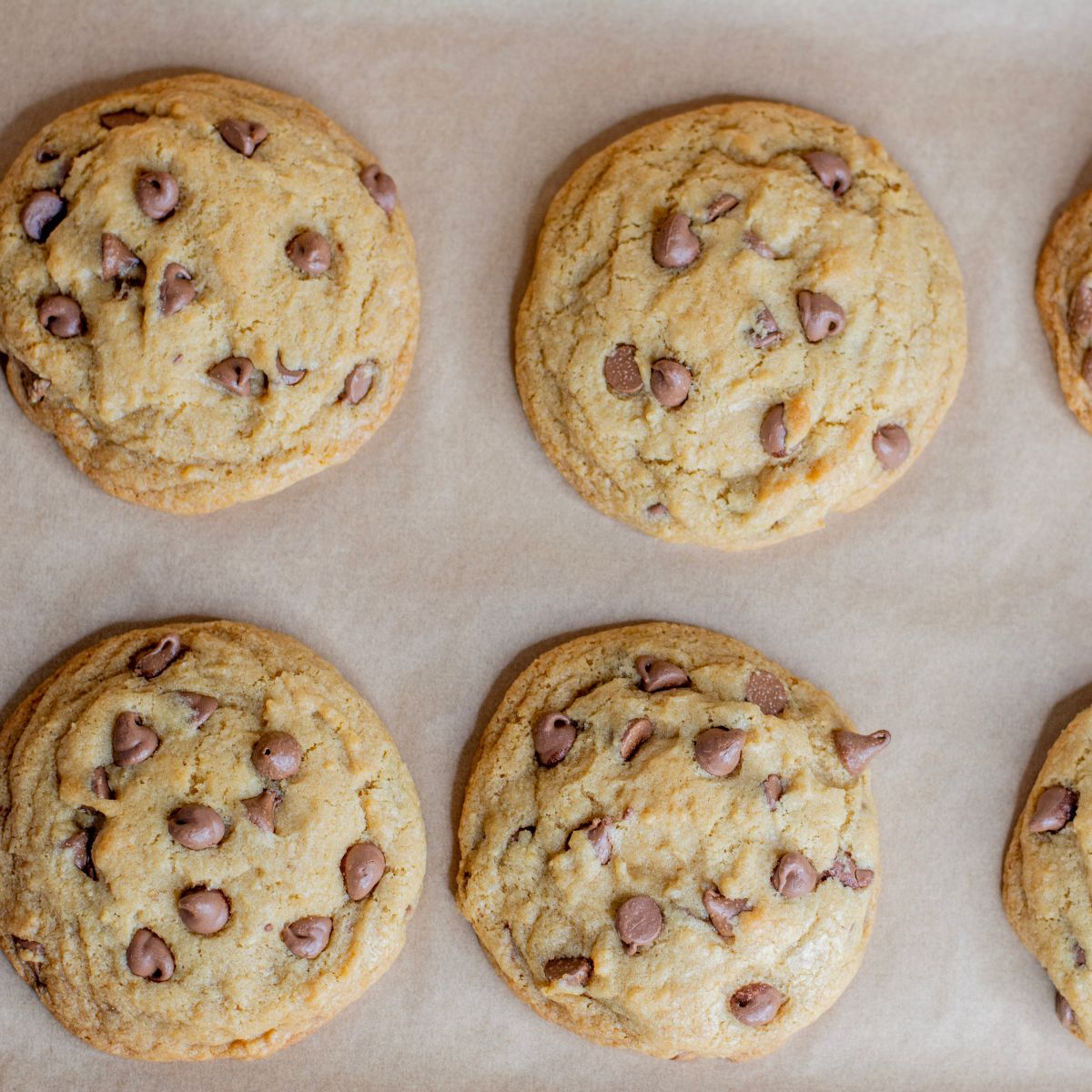 Several brown butter chocolate chip cookies made from sourdough discard on a baking sheet.