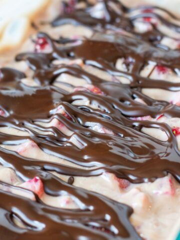 Chocolate Strawberry Yogurt snack topped with drizzled dark chocolate