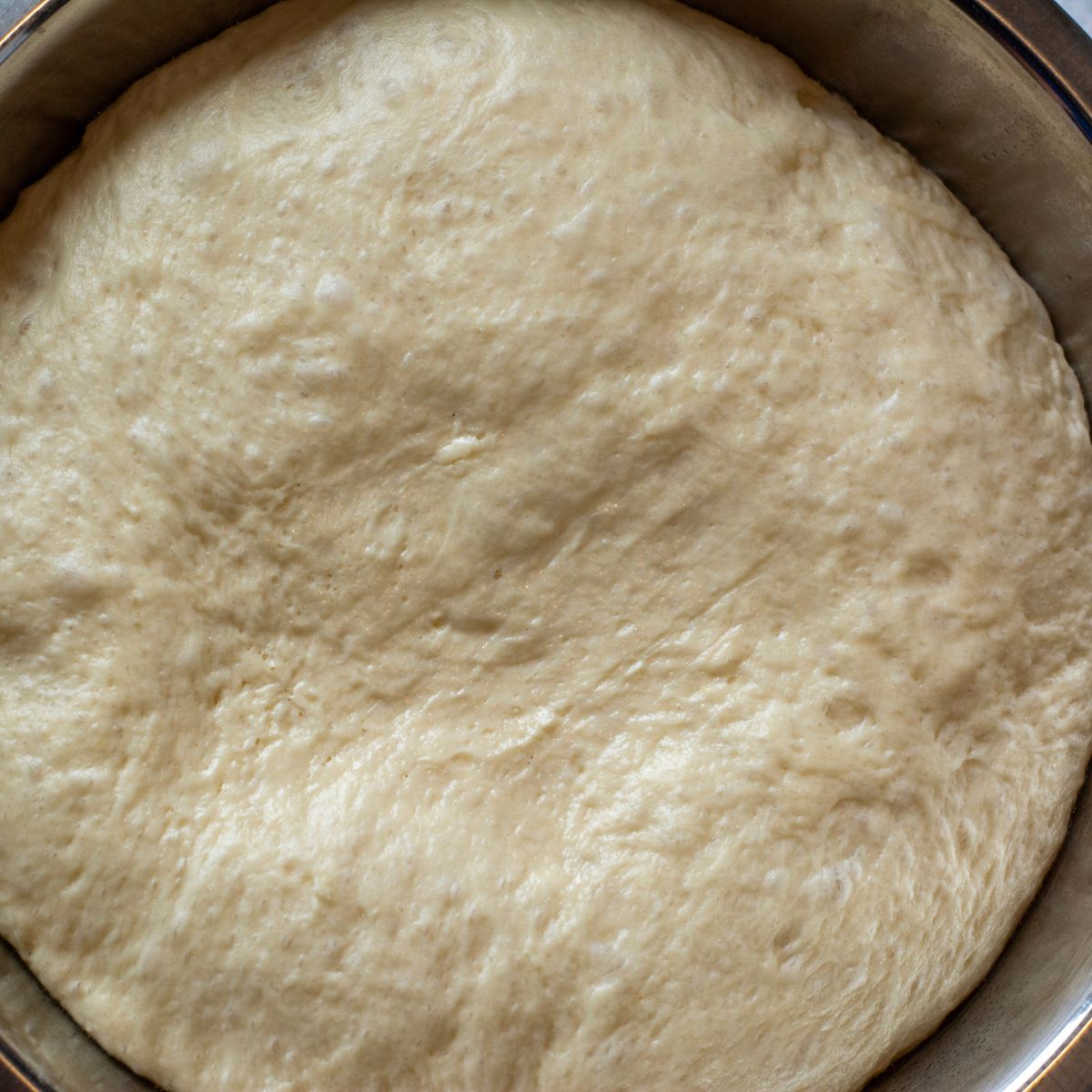 Homemade dough rising in a bowl.