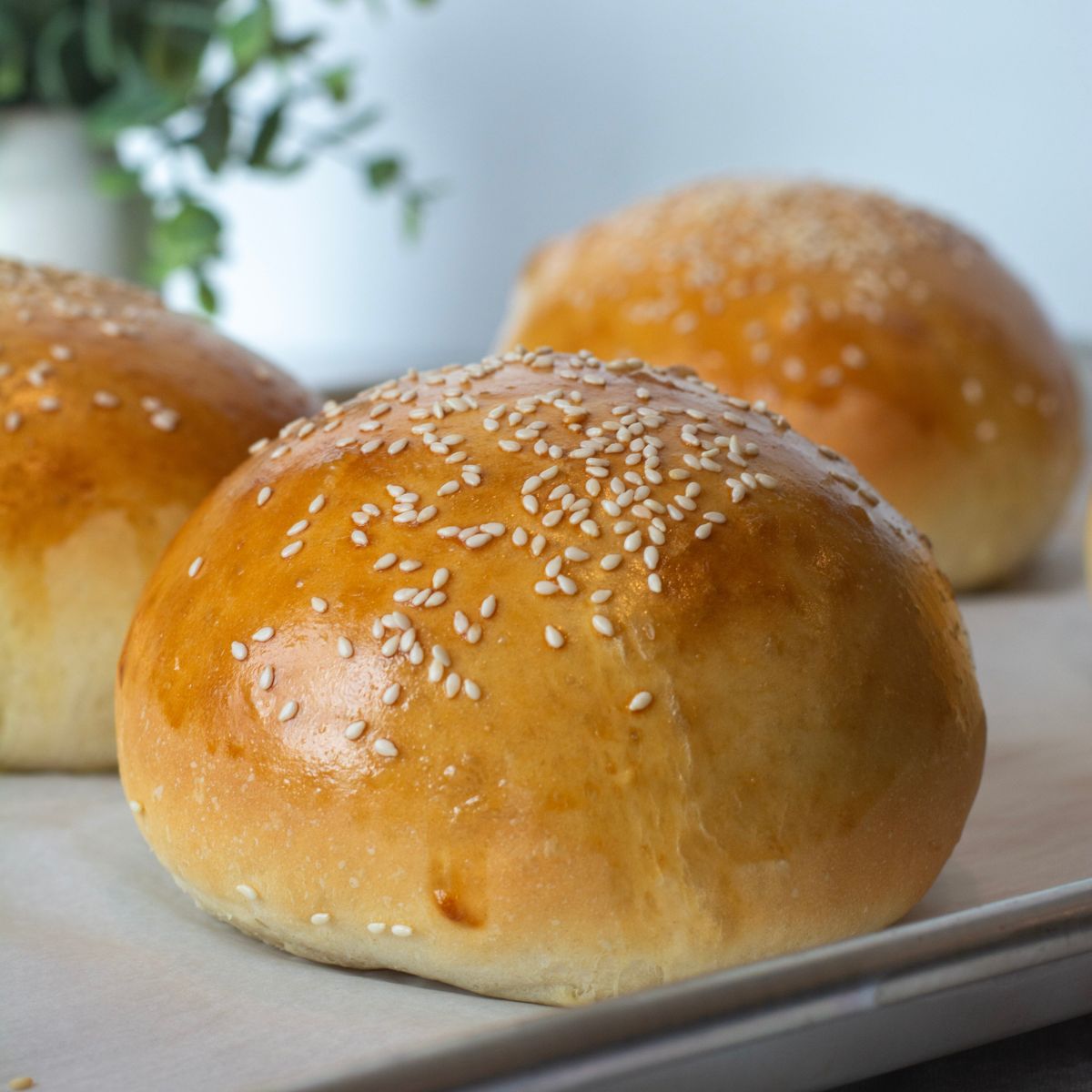 Golden hamburger buns sprinkled with sesame seeds on top.